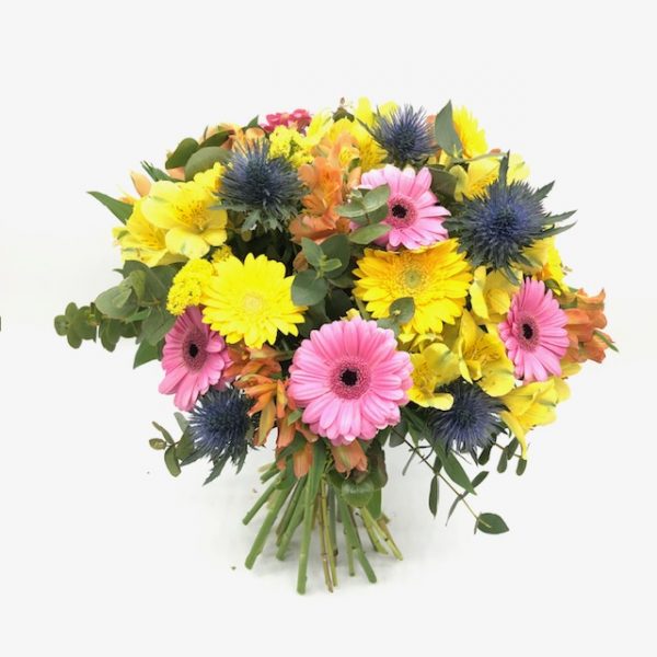 Gerberas y astromelias